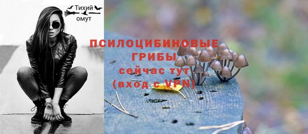 марки lsd Богородицк