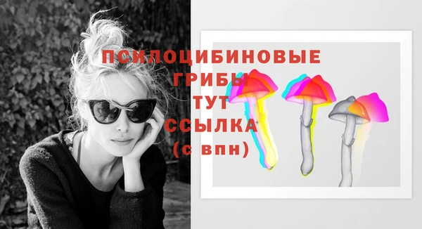 2c-b Богородск