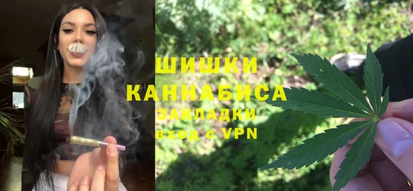 дурь Бородино