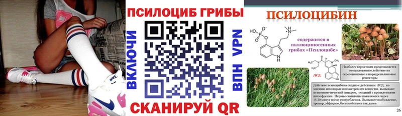 купить закладку  Буинск  Галлюциногенные грибы ЛСД 